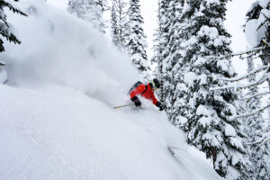 Deep tree heliskiing